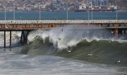 Emiten nuevo aviso de marejadas: ¿Cuándo serán y qué regiones se verán afectadas?