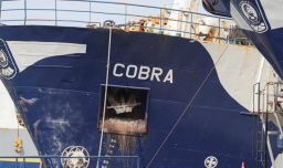 Desestiman querella interpuesta por defensa de tripulación de El Cobra contra abogado de pescadores desaparecidos