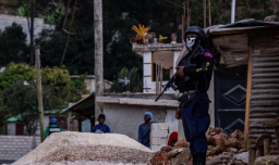 Mujer en Haití mata a 40 miembros de banda criminal con empanadas envenenadas: Usó pesticida agrícola