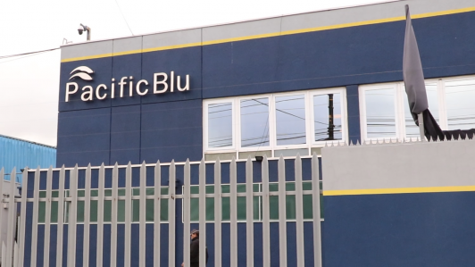 Gremios del Biobío por anuncio de cierre de PacificBlu: "El Gobierno ha impulsado la destrucción de empleos formales"