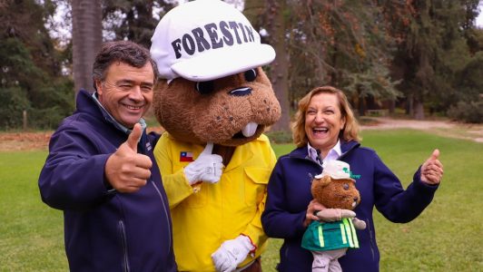 Conaf se convierte en un servicio público: Así operará el nuevo Servicio Nacional Forestal