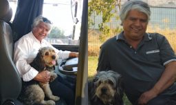 Final feliz para chofer que acusó ser despedido por viajar con su perro de apoyo emocional: Can será acreditado