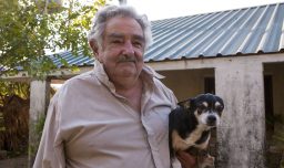 El amor de cuatro patas de "Pepe" Mujica: La historia con su perra Manuela y su deseo de reencontrarse con ella