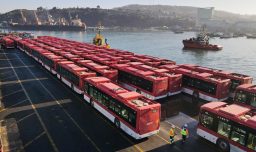 De China al puerto de San Antonio: Llegan 300 buses eléctricos para incorporarse al sistema de transporte capitalino