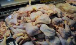 Chile descarta alza en pollo tras congelar importaciones desde Brasil por gripe aviar: Precio no subirá más de $3.500 por kilo