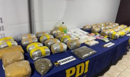 PDI incauta droga avaluada en más de $235 millones en Estación Central