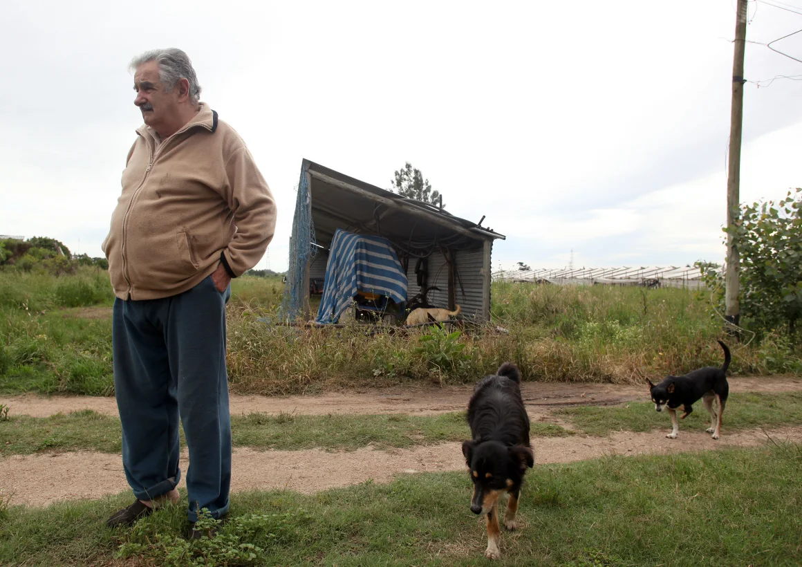 José Mujica en su granja Rincon del Cerro, en Montevideo, el 27 de noviembre de 2009. AFP/AFP/AFP via Getty Images