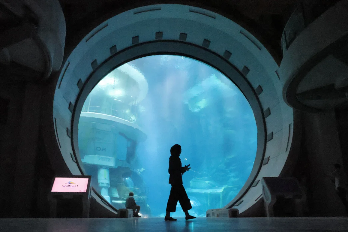 La gente recorre SeaWorld, el primer parque temático de vida marina de la región, en la isla Yas en Abu Dhabi el 21 de mayo de 2023. Karim Sahib/AFP/Getty Images