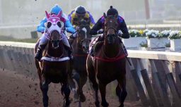 Rodada en el Hipódromo Chile deja un caballo muerto y cuatro jinetes lesionados