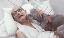 Hospital Clínico U. de Chile presenta nuevo protocolo humanizado que permite a mascotas visitar a pacientes críticos