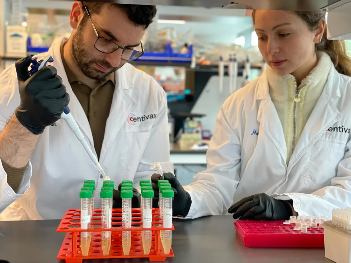 Los coautores del estudio, Mark Bellin y Hannah Hirou, preparan el antiveneno durante el curso de la investigación. Nicolás Bayless