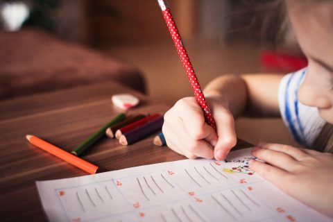 English Winter Camps 2025 para alumnos de enseñanza básica y media: ¿Cómo postular y cuáles son los requisitos?