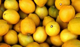 Precios de alimentos: Bajan las naranjas y limones, pero suben el huevo y la carne
