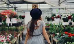 Startup chilena revoluciona el mercado de las flores con modelo de marketplace digital