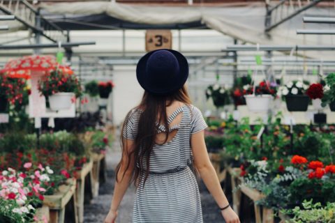 Startup chilena revoluciona el mercado de las flores con modelo de marketplace digital