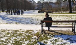 Por qué Copenhague es la mejor ciudad del mundo para vivir en 2025: Desplazó a Viena en el ranking