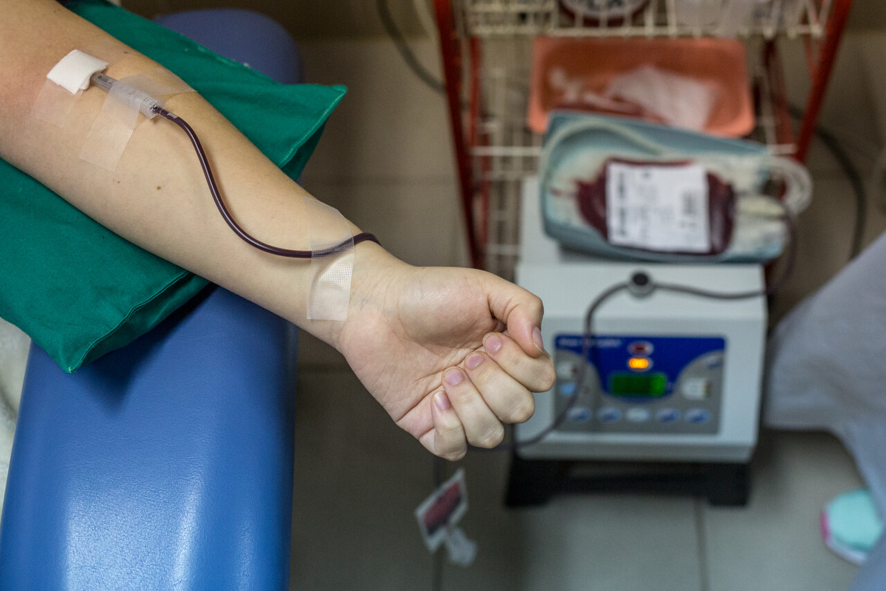 Se acerca el Día Mundial del Donante de Sangre: Estos son los mitos en torno a la donación/Agencia Uno