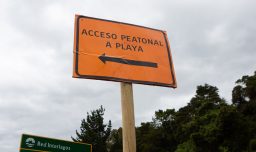 Proyecto de ley busca ordenar reapertura del acceso a playas: ¿De qué se trata?