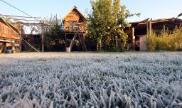 Se prevén hasta -6 °C: DMC emite alerta por bajas temperaturas intensas en tres regiones del país