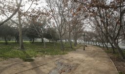 Hombre fue apuñalado con un arma blanca mientras paseaba a su mascota en el Parque Los Reyes