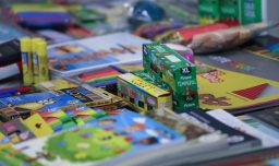 Fallas en entrega de útiles escolares: Diputados UDI exigen salida de la directora de Junaeb tras informe de Contraloría