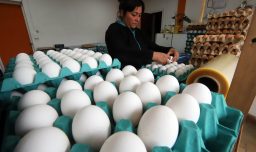 IPC de abril sube dentro de lo esperado: Aumentó precio de huevos y galletas, bajó el vino