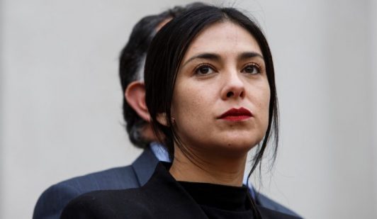 “Estoy tratando de apelar" y "es mucha plata": Los chats que revelan cómo Cariola pidió rebaja de multas a Gonzalo Durán