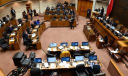 Proyecto de convivencia escolar continúa avanzando en el Senado: Se comenzará discusión en particular