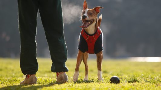 Frío en la zona centro-sur: Mínimas entre 0° C y 4° C para el último fin de semana de junio