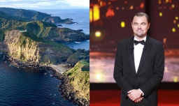 Revelan que ONG conservacionista vinculada al actor Leonardo DiCaprio estaría negociando la compra de Isla Guafo en Chiloé
