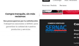 Sernac denuncia a tiendas de venta de camisetas por usar ilegalmente su logo para "inducir falsamente confianza”