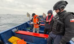 Maule: Incautan más de 21 mil toneladas de jibia en zona de pesca