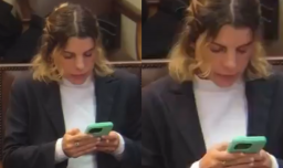 Critican a Orsini por "estar pegada" 20 minutos al teléfono durante comisión de Seguridad: Diputada dijo que estaba trabajando