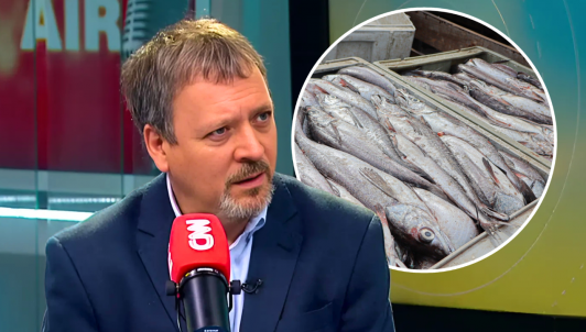 "Es mejor crecer que no crecer": Subsecretario de Pesca defiende redistribución pesquera ante críticas del oficialismo