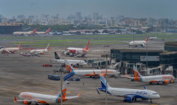 Joven metió un hamster escondido a un vuelo y se le perdió: Provocó un atraso de 3 horas