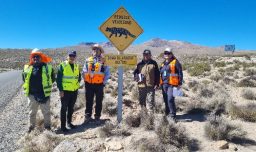 Instalan señalética para protección de felinos nativos en rutas de Arica y Parinacota: Busca fomentar conducción responsable
