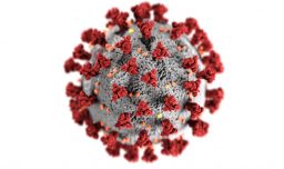 La OMS no descarta que el virus del COVID-19 se originara por una fuga en un laboratorio