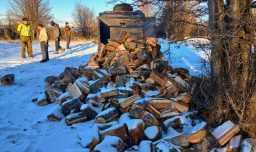 Bosque nativo en Aysén: Seis detenidos por corta ilegal de leña avaluada en más $100 millones