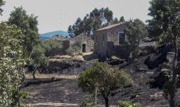 Con 3.753 bomberos, 1.200 medios terrestres y 37 aéreos: Portugal combate 17 incendios forestales "graves"