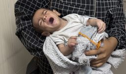 Nuevas cifras: Han muerto más palestinos por desnutrición en lo que va de 2025 que en los dos años previos