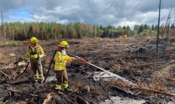 Brigadistas chilenos viajaron a Canadá para ayudar a combatir incendios forestales