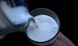 Cumbre Mundial de la Leche se realizará en Chile: Los desafíos y el momento de la industria local