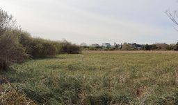 Aumenta la presión para un avance en la reforma al sistema de Evaluación de Impacto Ambiental