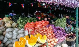 Columna de Magdalena Morel: Empresas, migración y derechos humanos en el agro chileno