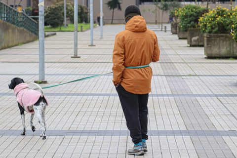 Precipitaciones débiles en el centro y centro sur: Revisa el pronóstico para tu ciudad