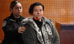 Revelan que mujer acusada de matar a su madre en Recoleta habría intentado asesinarla en 2024