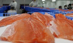 Minsal emite alerta sanitaria por presencia de listeria en salmón ahumado South Wind: Revisa el lote afectado