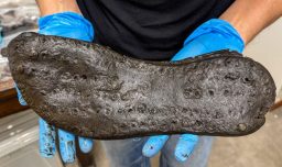 Arqueólogos descubren zapatos gigantes de legionarios romanos en el Muro de Adriano