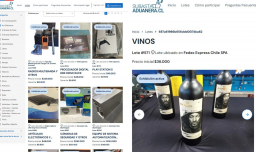 Rematarán más de 500 lotes: ¿Cómo participar en la subasta aduanera?