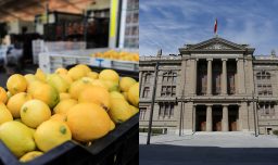 Había sido denunciada por estafa: Justicia ordena liquidación forzosa de exportadora Olivar Export